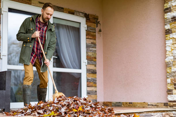 Best Household Junk Removal  in Chleston, AR